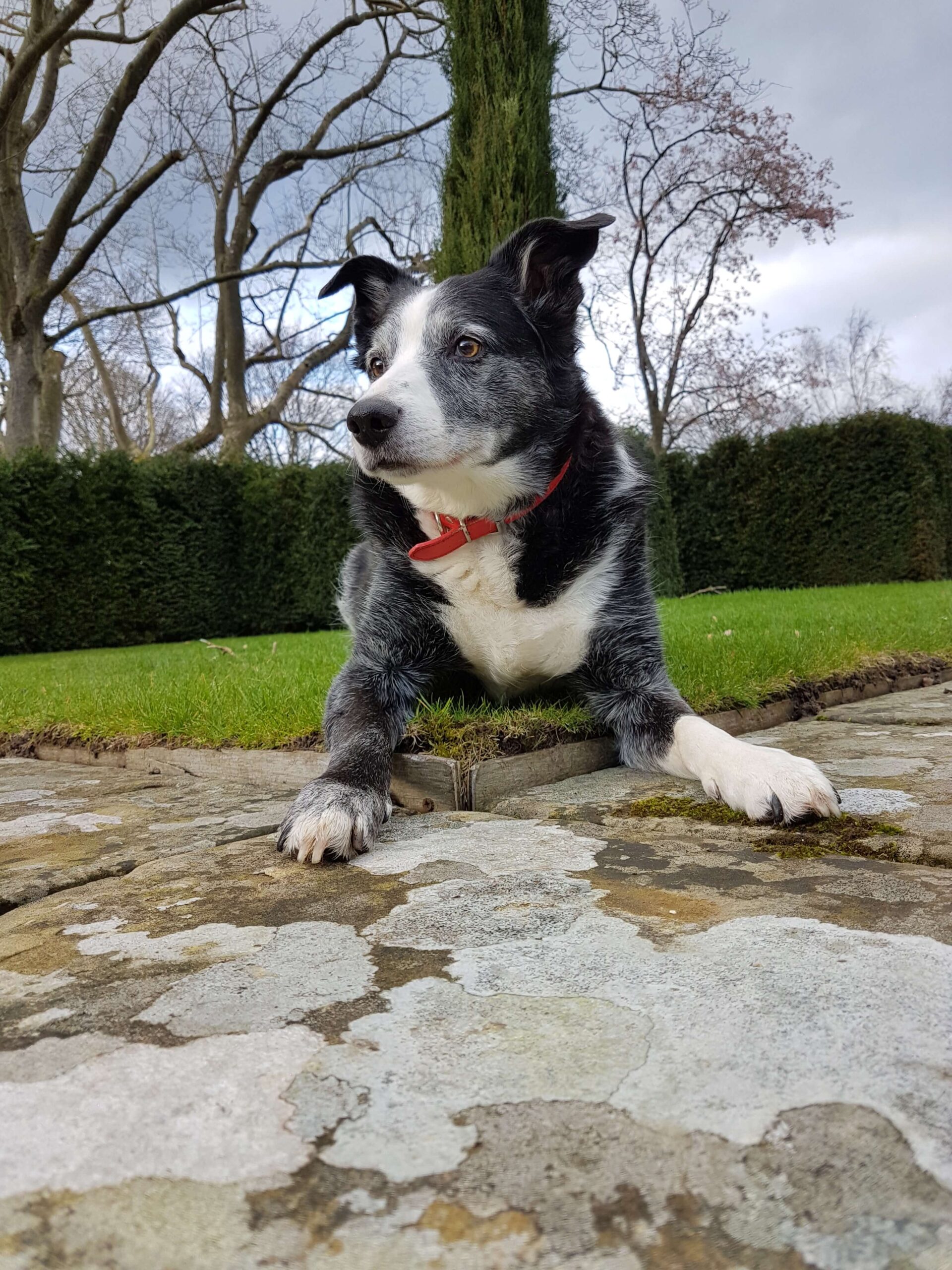 Days out exploring Bodnant Gardens